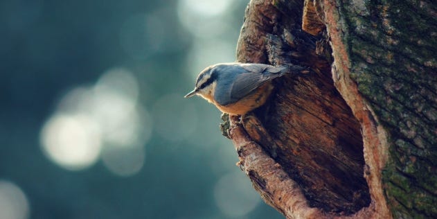 Your Best Shot Gallery: January 2013