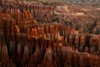 Today's Photo of the Day comes from Brian Truono and captured in Utah's Bryce Canyon with a Canon EOS 5D Mark III
and a EF 70-200mm f/2.8L IS USM lens at 1/10 sec, f/14  and ISO 100. See more of Truono's work <a href="https://www.flickr.com/photos/trueth/">here.</a>