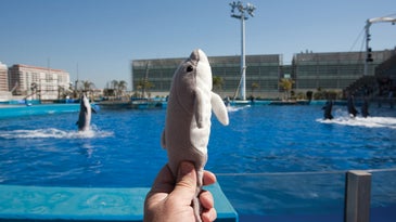 Photo of the Day: Tuesday December 08 2009