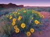 Bonus Image: Arches National Park (UT)