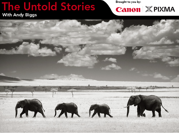 Untold Stories