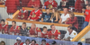 26-Gigapixel Image of the NHL Stanley Cup Finals