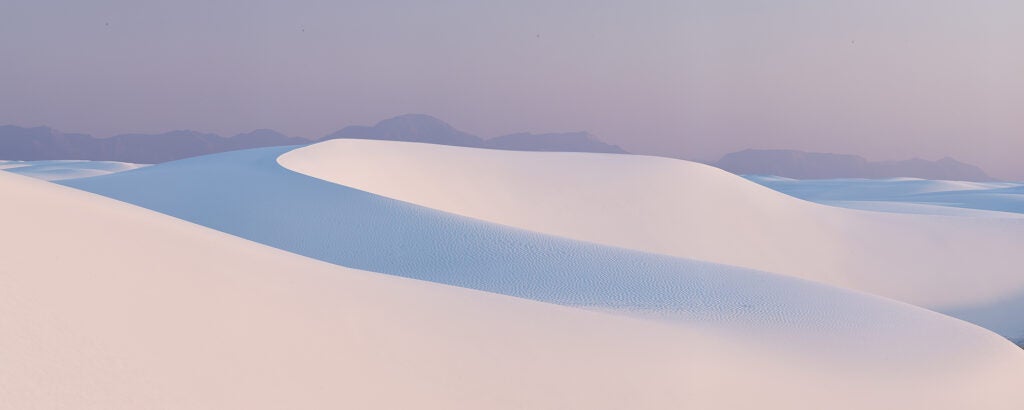 Desert Dream