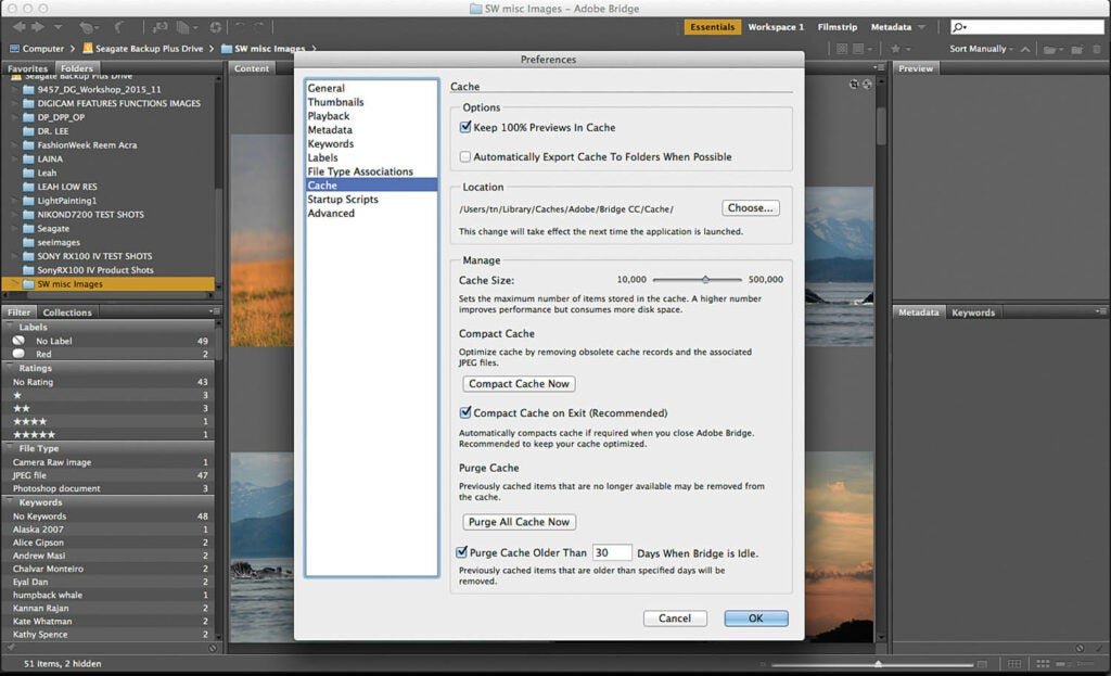 Software Workshop: How to organize your photos with Adobe Bridge