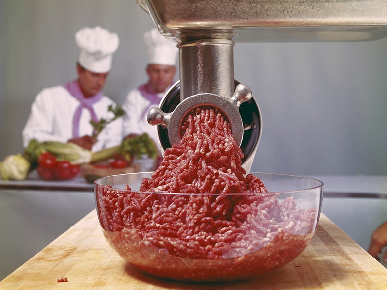Minced meat coming through mincer with chefs in background