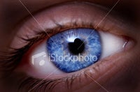 Typepad Import Image