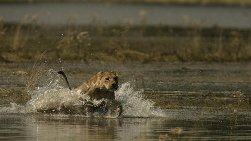 Photo of the Day: Wednesday October 07 2009