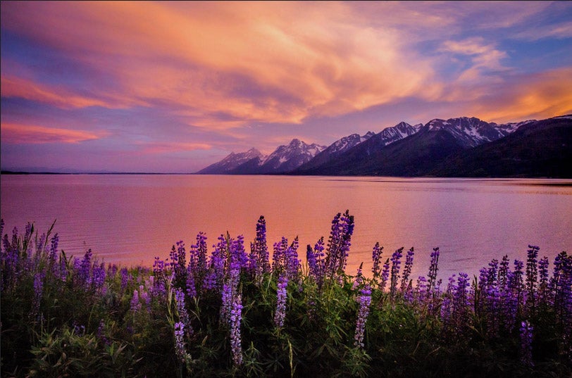 This beautiful landscape was captured by Vijay Sridhar at Jackson Lake in Grand Teton National Park at sunset. Vijay shot this photo on a Canon EOS 6D using a EF24-70mm f/2.8L II USM lens. See more of Vijay's work <a href="http://www.flickr.com/photos/vjsclickz/with/14424789428/">here.</a>