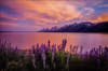 This beautiful landscape was captured by Vijay Sridhar at Jackson Lake in Grand Teton National Park at sunset. Vijay shot this photo on a Canon EOS 6D using a EF24-70mm f/2.8L II USM lens. See more of Vijay's work <a href="http://www.flickr.com/photos/vjsclickz/with/14424789428/">here.</a>