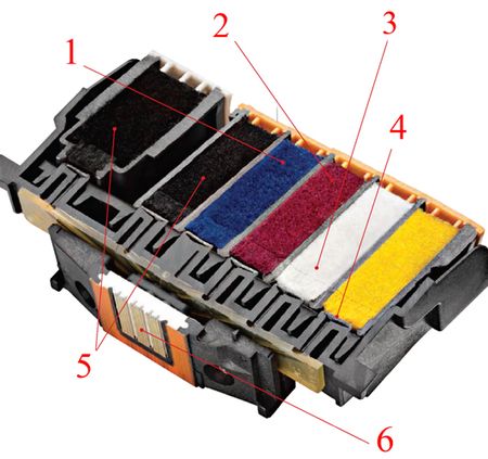 Typepad Import Image