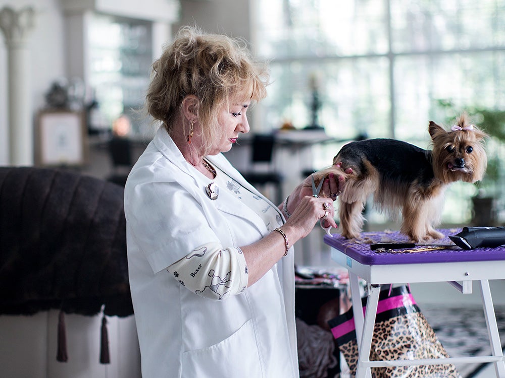 woman grooms small dog