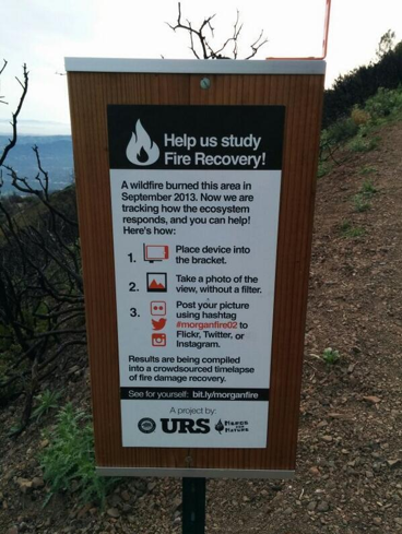 Smartphone Photos Track Wildfire Regrowth