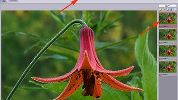 Extreme Depth of Field with Helicon Focus