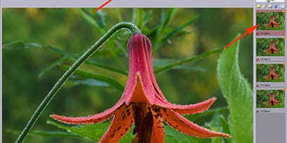 Extreme Depth of Field with Helicon Focus Extreme Depth of Field with Helicon Focus