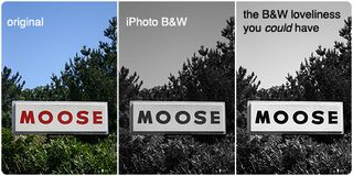 Typepad Import Image