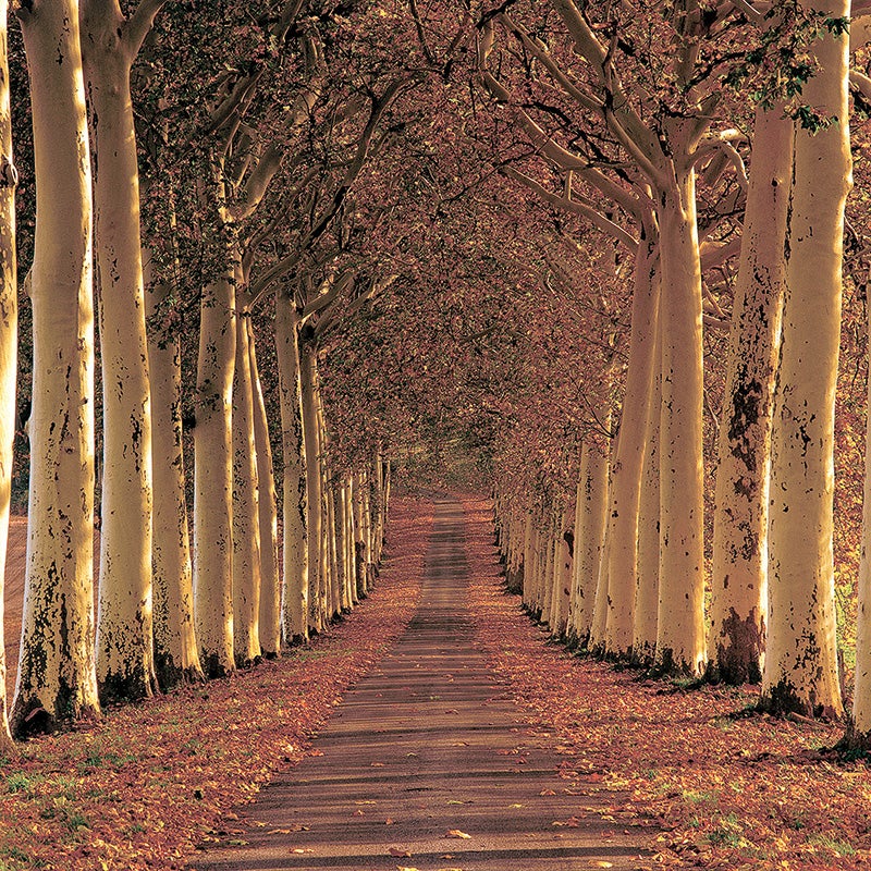 Ãpernay, France.