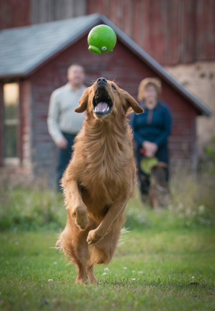 Ball with Mom & Dad