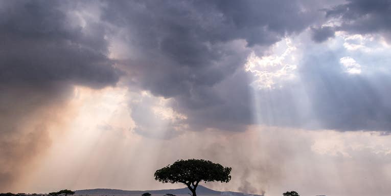 Mentor Series: Darlene Gillespie Explores the Serengeti Mentor Series: Darlene Gillespie Explores the Serengeti