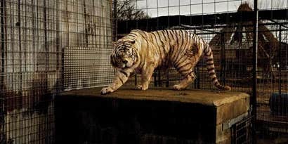 A Conversation with Taryn Simon A Conversation with Taryn Simon