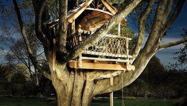 Backstory: A Dreamy Treehouse