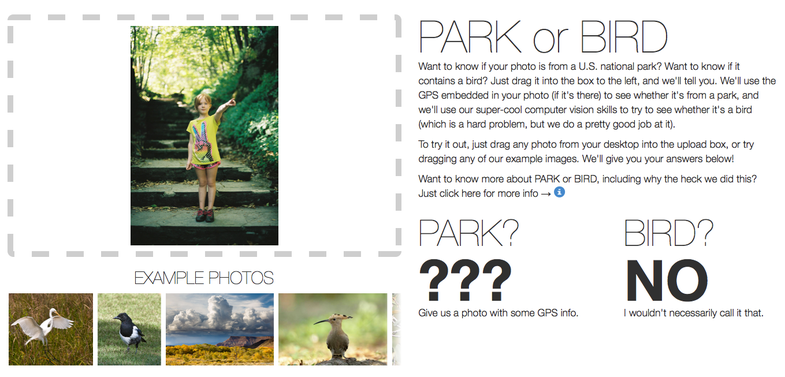 Flickr Bird or Park Site