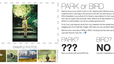 Flickr Bird or Park Site
