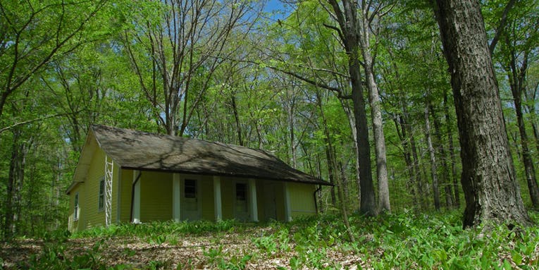 Incredible Nature Time-Lapse Recorded Using Decade Old Nikon Point-and-Shoot