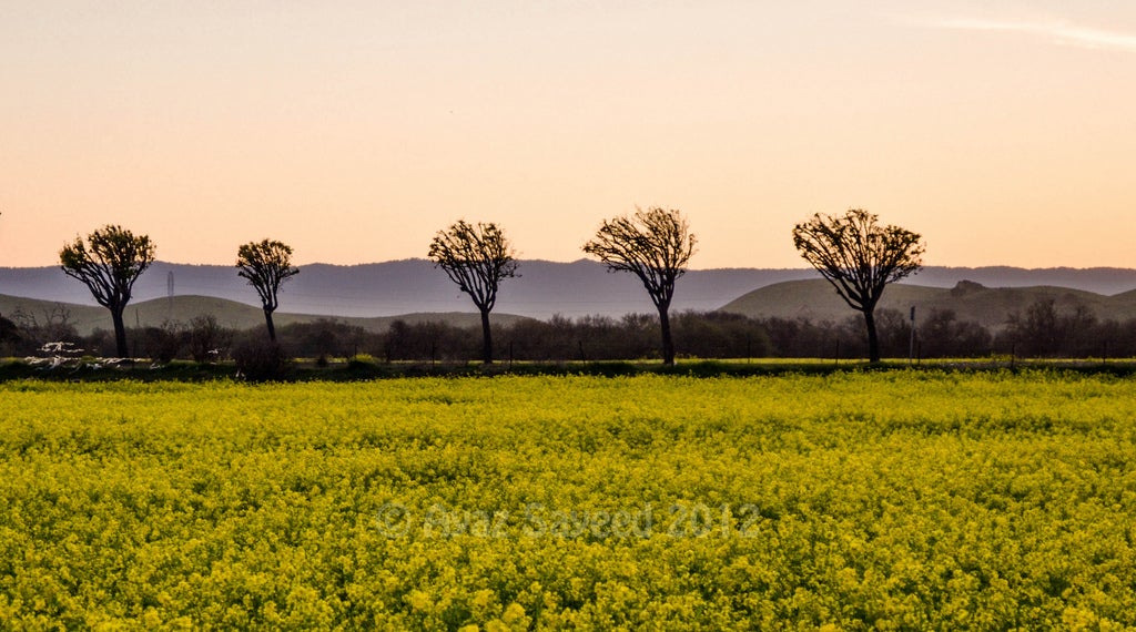 Ayaz made today's Photo of the Day with a <a href="https://www.popphoto.com/gear/2011/01/lab-test-nikon-d7000/">Nikon D7000</a>. See more of his work <a href="http://www.ayazsayeed.com/">here</a>. If you want to be considered for Photo of the Day, submit a photo to <a href="http://www.flickr.com/groups/1614596@N25/">our Flickr group, here</a>.