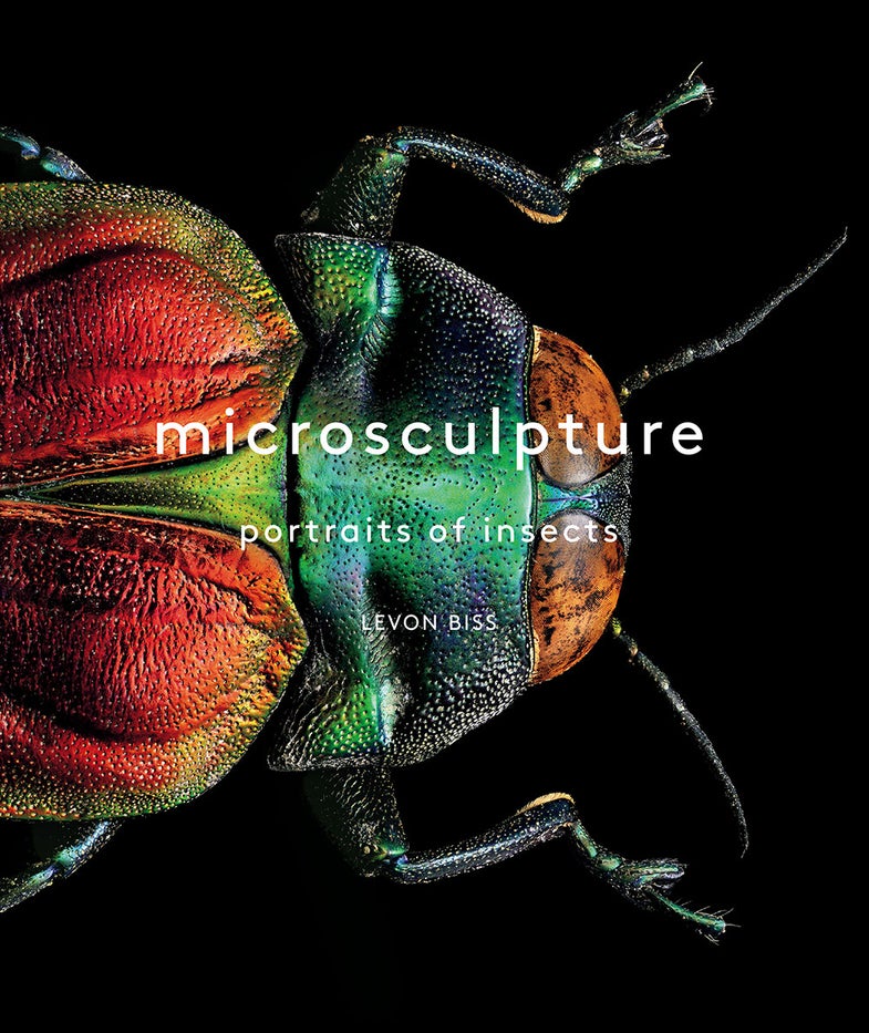 Microsculpture: Portraits of Insects by Levon Biss, published by Abrams.