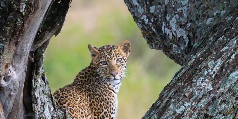 Mentor Series: Tanzania #2 – 2016 Mentor Series: Tanzania #2 – 2016
