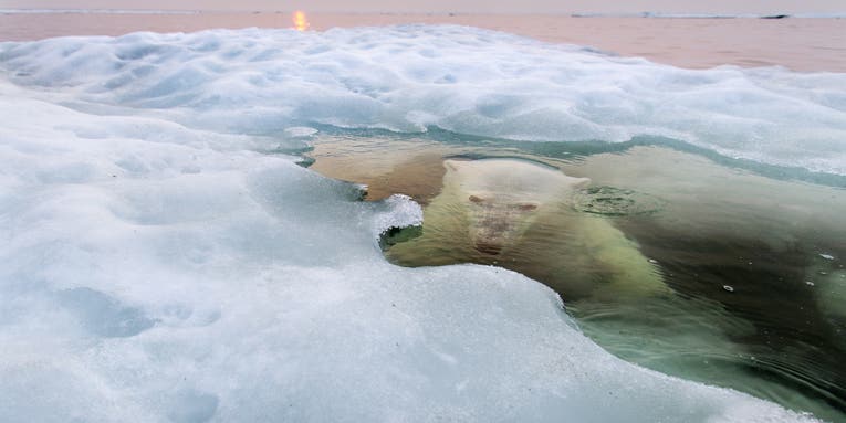 National Geographic Announces 2013 Photography Contest Winners