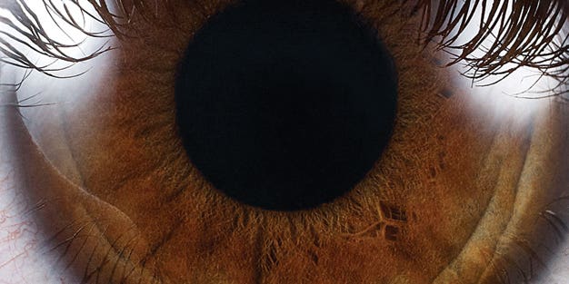 Quick Tip: How To Capture Extreme Close-ups Quick Tip: How To Capture Extreme Close-ups