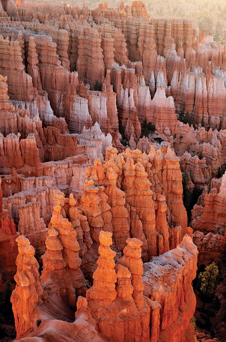 Bryce Canyon hoodoos.jpg