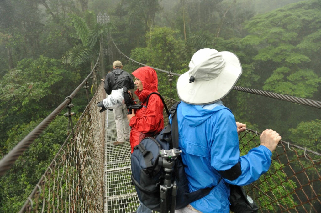 20100201_bd_costarica-0155.jpg