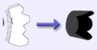 Typepad Import Image