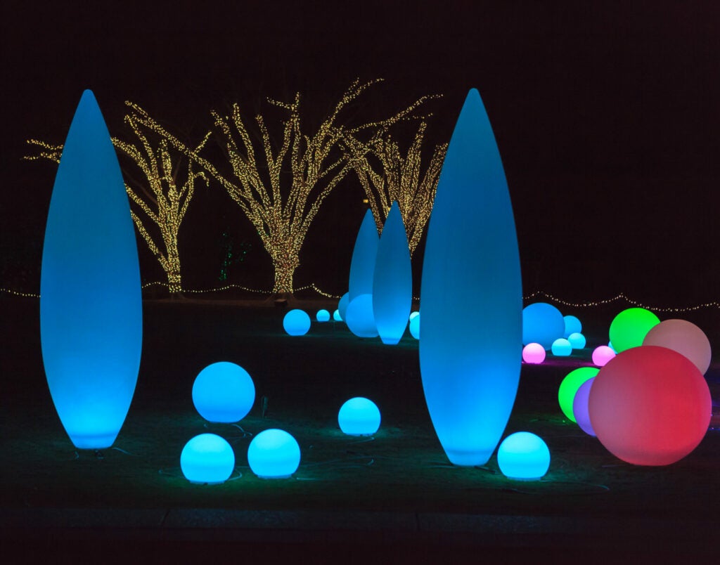 Garden Lights 1