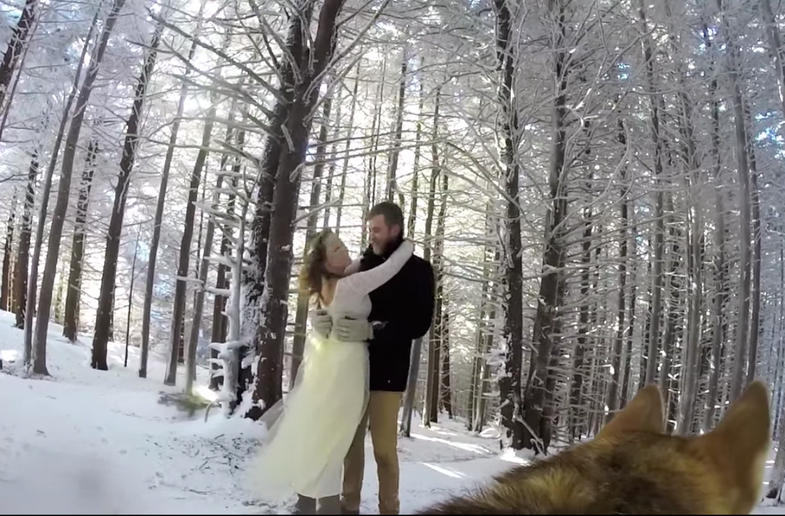 Dog shoots wedding video with a gopro camera