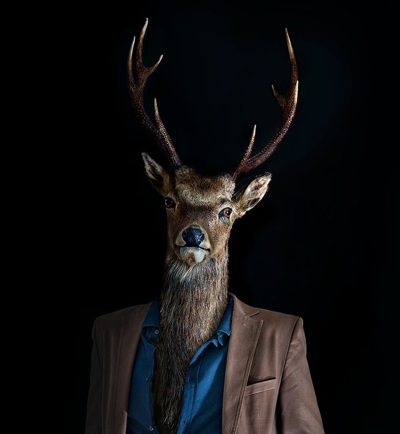 retrato número 3-front.jpg
