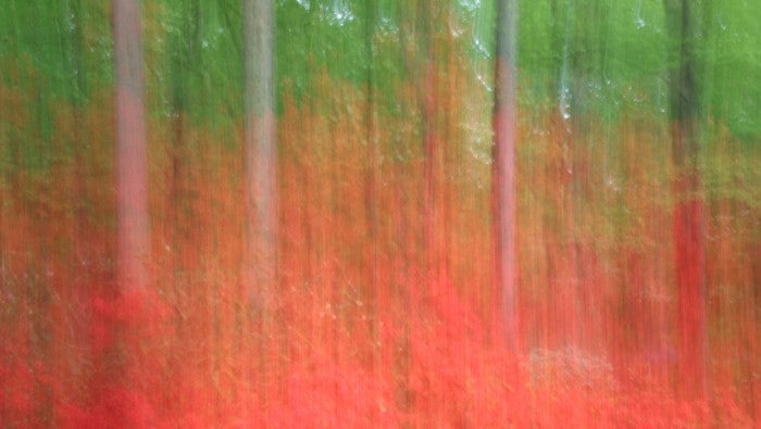 Motion Blur Gallery