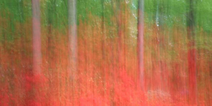 Reader Gallery: 35 Examples of Photos With Effective Motion Blur
