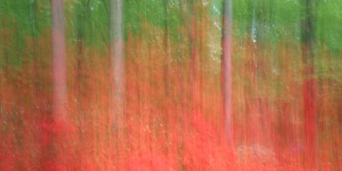 Reader Gallery: 35 Examples of Photos With Effective Motion Blur Reader Gallery: 35 Examples of Photos With Effective Motion Blur