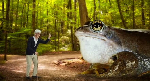 overly specific stock photos