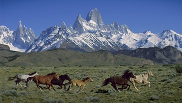 Transcending Nature: A Tribute to Galen Rowell