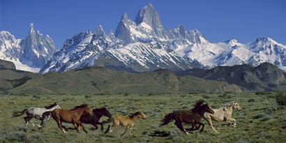 Transcending Nature: A Tribute to Galen Rowell Transcending Nature: A Tribute to Galen Rowell