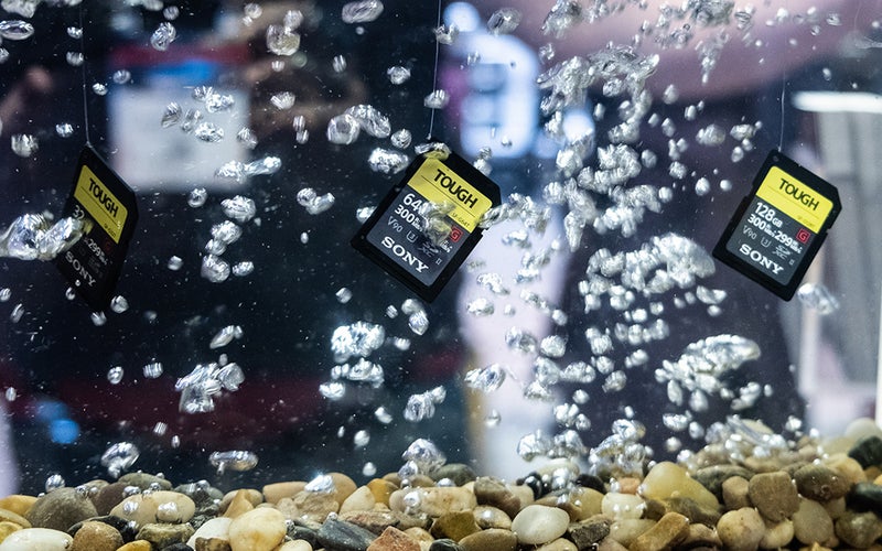 Sony Tough SD Cards