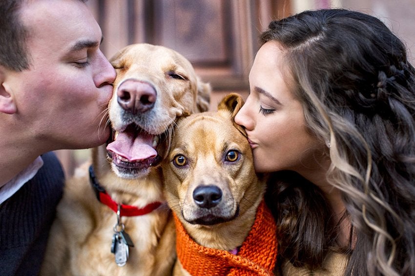 How-To: Include Pets In Wedding and Engagement Portraits