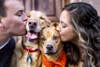 How-To: Include Pets In Wedding and Engagement Portraits