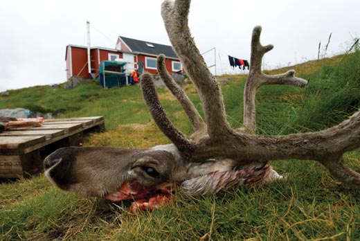 Conquer-the-World-Itilleq-Greenland