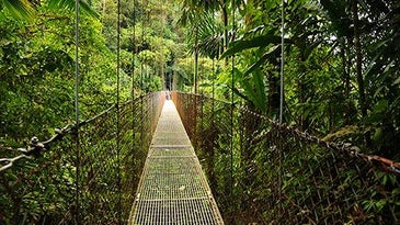 Mentor Series: Costa Rica Video Workshop