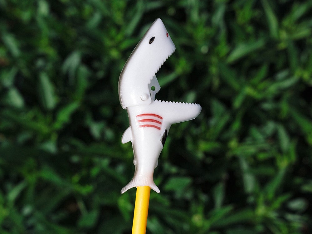 Shark toy